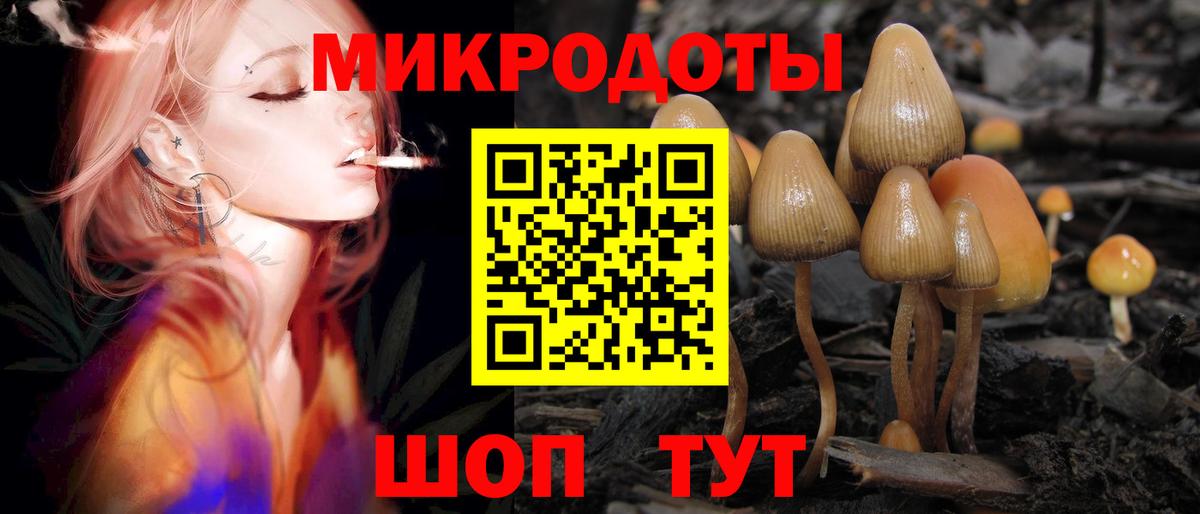 Галлюциногенные грибы ЛСД Апшеронск