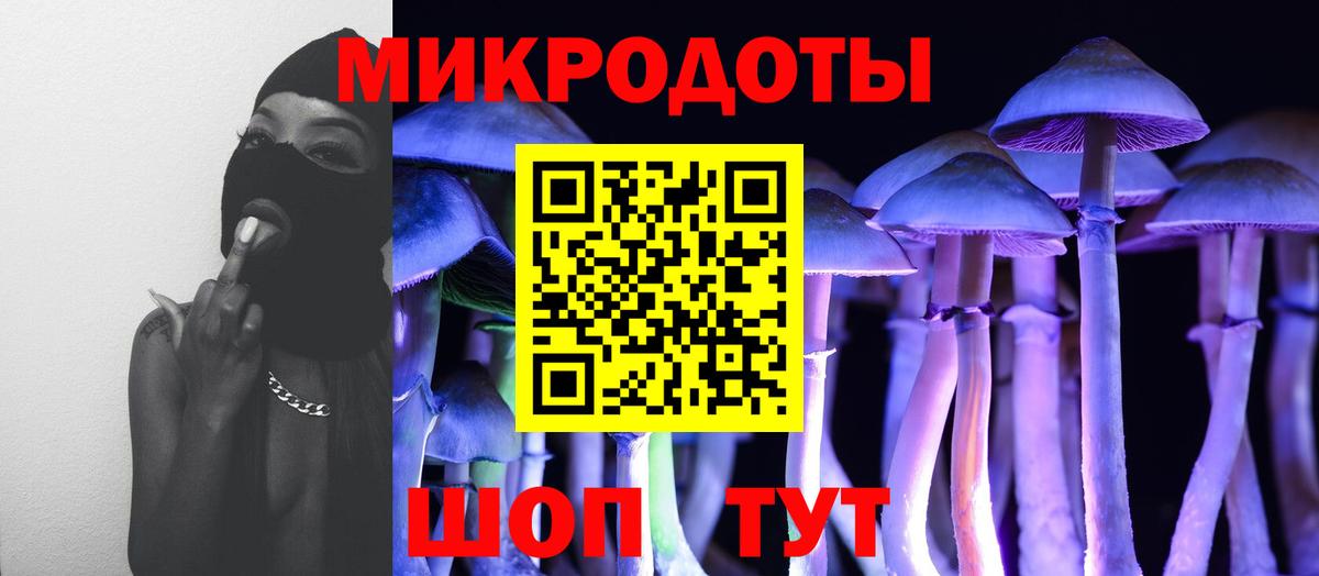 Апшеронск  Псилоцибиновые грибы Psilocybine cubensis  Вход с VPN 